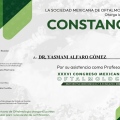 Ampliar imagen: certificate 8