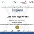 Ampliar imagen: certificate 12