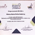 Ampliar imagen: certificate 3