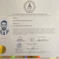 Ampliar imagen: certificate 4