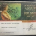 Ampliar imagen: certificate 2