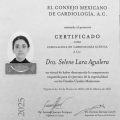 Ampliar imagen: certificate 3