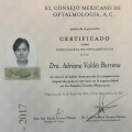 Ampliar imagen: certificate 1