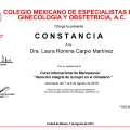 Ampliar imagen: certificate 9