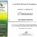 Ampliar imagen: certificate 12