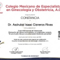 Ampliar imagen: certificate 23