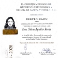Ampliar imagen: certificate 3