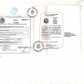 Ampliar imagen: certificate 2
