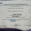 Ampliar imagen: certificate 3