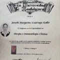 Ampliar imagen: certificate 4
