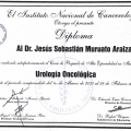 Ampliar imagen: certificate 9