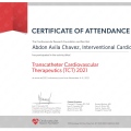 Ampliar imagen: certificate 7