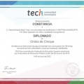 Ampliar imagen: certificate 17
