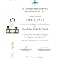 Ampliar imagen: certificate 1