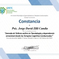 Ampliar imagen: certificate 5