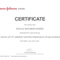 Ampliar imagen: certificate 3