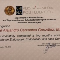 Ampliar imagen: certificate 4