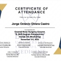 Ampliar imagen: certificate 1