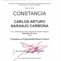 Ampliar imagen: certificate 8