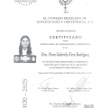 Ampliar imagen: certificate 3