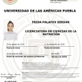 Ampliar imagen: certificate 2