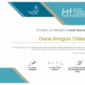 Ampliar imagen: certificate 8