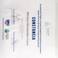 Ampliar imagen: certificate 4