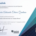 Ampliar imagen: certificate 5