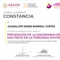 Ampliar imagen: certificate 7