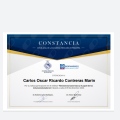 Ampliar imagen: certificate 12