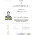 Ampliar imagen: certificate 19