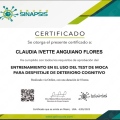 Ampliar imagen: certificate 13