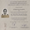 Ampliar imagen: certificate 5