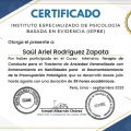 Ampliar imagen: certificate 3