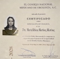 Ampliar imagen: certificate 1