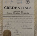 Ampliar imagen: certificate 11
