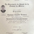 Ampliar imagen: certificate 5