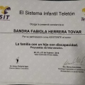 Ampliar imagen: certificate 11