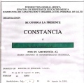 Ampliar imagen: certificate 29
