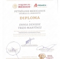 Ampliar imagen: certificate 3