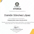 Ampliar imagen: certificate 1