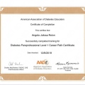 Ampliar imagen: certificate 5