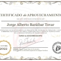Ampliar imagen: certificate 1