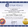 Ampliar imagen: certificate 3