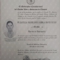 Ampliar imagen: certificate 5