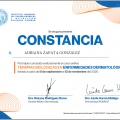 Ampliar imagen: certificate 4