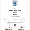 Ampliar imagen: certificate 5