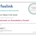 Ampliar imagen: certificate 12