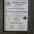Ampliar imagen: certificate 11