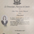 Ampliar imagen: certificate 5